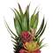 15" Artificial Succulents & Agave in Silver Ceramic Pot